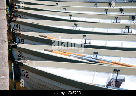 Traditionelle Boote vertäut am River Dee, Groves, Chester, Cheshire, England, UK Stockfoto