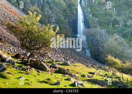 Aber fällt, in der Nähe von Abergwyngregyn, Llanfairfechan, Gwynedd, Nordwales, UK Stockfoto