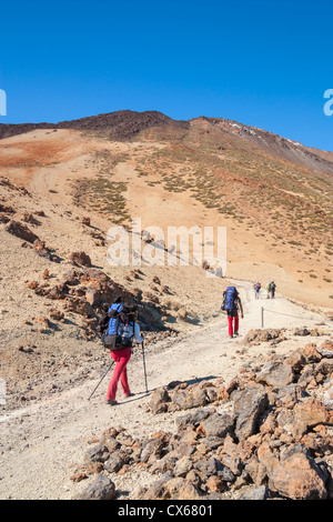 Wandern in El Parque Nacional del Teide auf Teneriffa, Kanarische Inseln, Spanien Stockfoto