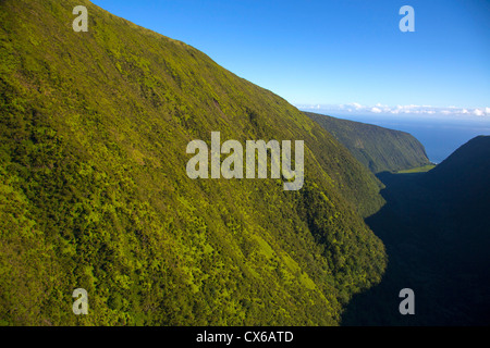Waimanu Valley, North Kohala, Big Island von Hawaii Stockfoto