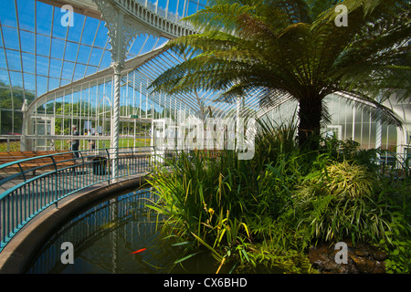 Botanic Gardens, Glasgow, Frühlingsfarben, sonnig; Strathclyde Region; Schottland Stockfoto