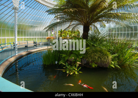 Botanic Gardens, Glasgow, Frühlingsfarben, sonnig; Strathclyde Region; Schottland Stockfoto