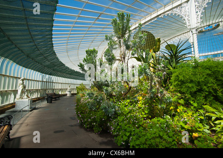 Botanic Gardens, Glasgow, Frühlingsfarben, sonnig; Strathclyde Region; Schottland Stockfoto