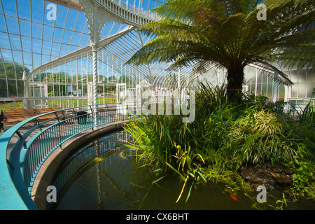 Botanic Gardens, Glasgow, Frühlingsfarben, sonnig; Strathclyde Region; Schottland Stockfoto