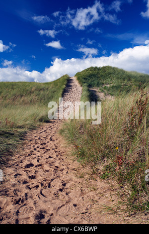 SANDDÜNE, HINTER BUCHT, HINTER, EAST LOTHIAN, WANDERWEG Stockfoto