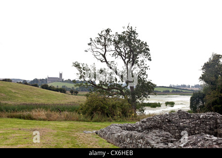 Die Quoile River, County Down, Nordirland Stockfoto