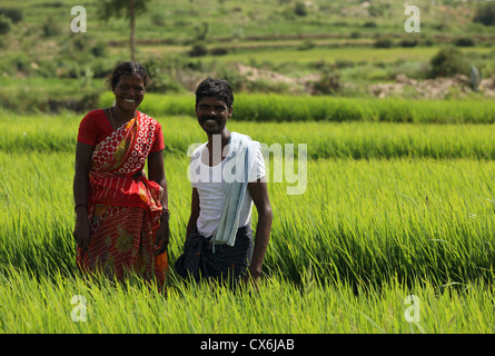 Indische Paare in einem Reisfeld Andhra Pradesh in Indien Stockfoto