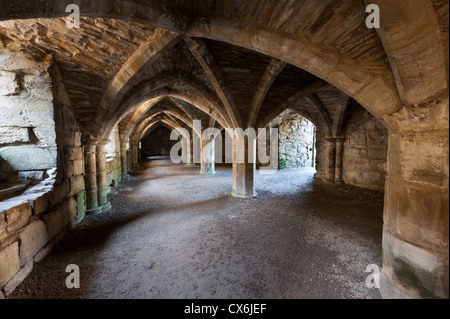 Untergeschoss auf Finchale Abtei Durham UK Stockfoto