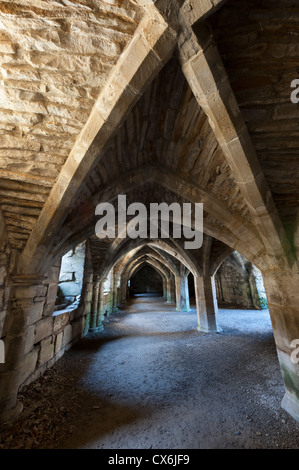 Untergeschoss auf Finchale Abtei Durham UK Stockfoto