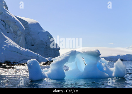 Eis-Bildung in der Melchior Inseln, antarktische Halbinsel, Antarktis Stockfoto