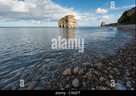 Die Küste Meer und Felsen in Marsden Bay in der Nähe von Whitburn County Durham, zwischen den Flüssen Tyne und tragen UK Stockfoto