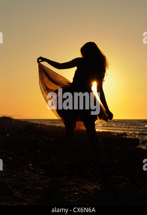 Silhouette Stockfoto