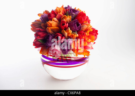 Eine Vase voller Tulpen Stockfoto