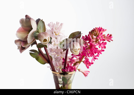 Ein Blumenstrauß, einschließlich Fastenzeit Rosen (Helleborus Orientalis) und Hyazinthe Stockfoto