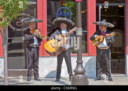 Eine Mariachi Band spielt für Tipps vor einem Restaurant in der Innenstadt von Asheville, North Carolina am 26. August 2012 Stockfoto