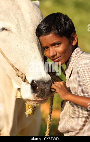 Indischen jungen Sai Kumar mit Zebu in einem Feld Andhra Pradesh in Indien Stockfoto