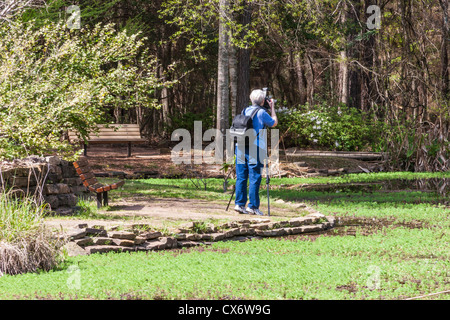 Fotograf bei Mercer Arboretum and Botanical Gardens in Spring, Texas. Stockfoto