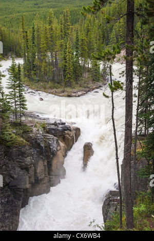 Sunwapta Falls, am Sunwapta River im Jasper National Park, Alberta, Kanada. Stockfoto