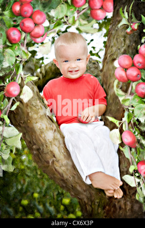 Outdoor-Porträt eines kleinen Jungen auf einem Apfelbaum Stockfoto