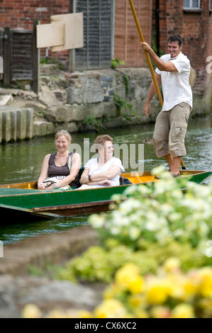 Canterbury Flussfahrten, Fluss Stour, Canterbury, Kent, England, UK Stockfoto