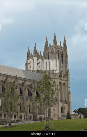 Seitenansicht der Washington National Cathedral, die sechst größte gotische Kathedrale der Welt. Washington DC, USA Stockfoto