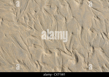 Geriffelter Sand/Fluvialrücken am Strand/an der Küste nach der Flut hat sich gerade zurückgezogen. Perranporth Beach, Cornwall. Mars-ähnliches Flussmuster-Konzept. Stockfoto