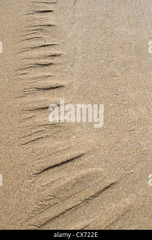 Geriffelter Sand/Fluvialrücken am Strand/an der Küste nach der Flut hat sich gerade zurückgezogen. Perranporth Beach, Cornwall. Mars-ähnliches Flussmuster-Konzept. Stockfoto