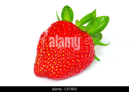 Frische Erdbeeren auf weißem Hintergrund isoliert Stockfoto