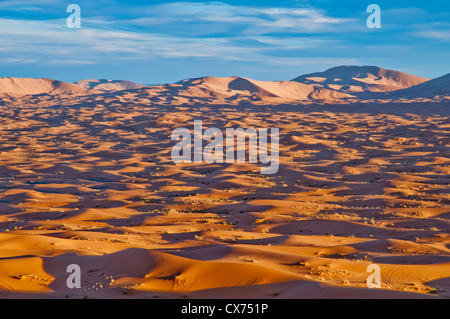 Die Sanddünen und wunderschönen Himmel der Wüste Sahara. Stockfoto