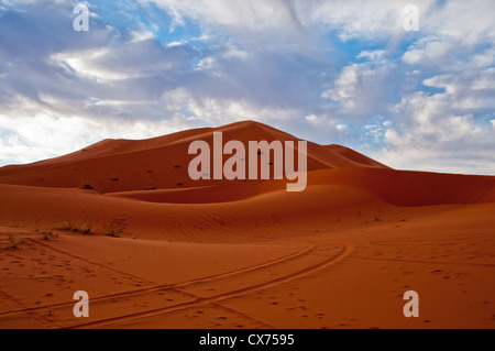 Die Sanddünen und wunderschönen Himmel der Wüste Sahara. Stockfoto
