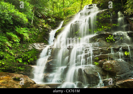 Sylvia Falls in den Blue Mountains sanft vom Sonnenlicht getroffen. Stockfoto