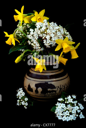 Frühling Blumen Stockfoto