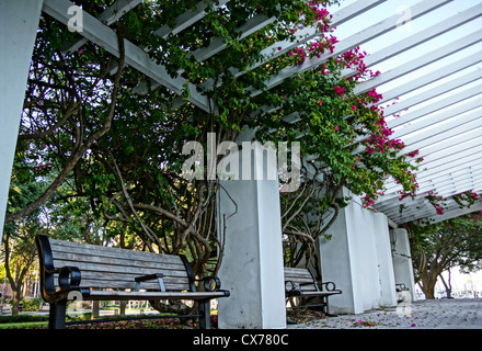 Grillgelegenheiten gewickelt Pergola Stockfoto