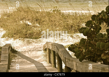 Bean Point Beach Boardwalk Stockfoto