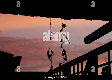 Paprika, hängt an der Schnur gegen Himmel in Basilikata-Italien Stockfoto