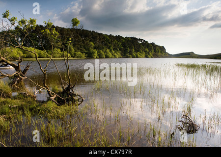 Crag Lough sitzt auf der Hadrian's Wall Path in Northumberland National Park, England Stockfoto