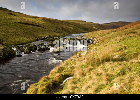 Der Fluß Coquet verläuft durch den Cheviot Hills in Coquetdale im Nationalpark Northumberland, England Stockfoto