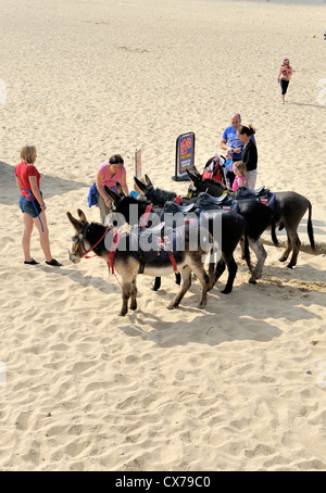 Eselreiten auf Yarmouth Strand Norfolk England uk Stockfoto