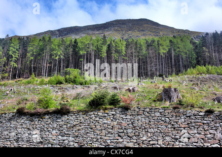 Nationalpark Lake District, North West England, UK Stockfoto