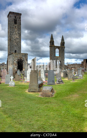 St Andrews Cathedral, St. Andrews, Fife, Schottland Stockfoto