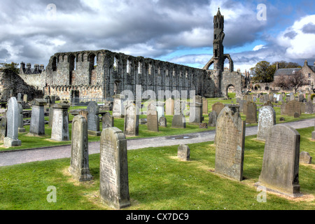 St Andrews Cathedral, St. Andrews, Fife, Schottland Stockfoto