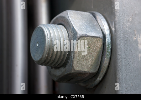 Schrauben und Muttern in Nahaufnahme. Stockfoto