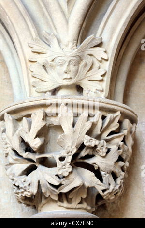 Geschnitzte Laub im Kapitelsaal, Southwell Minster, Southwell, Nottinghamshire, England, UK Stockfoto