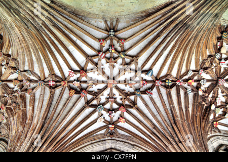 Kreuzgang-Decke in die Kathedrale von Canterbury, Canterbury, Kent, England, UK Stockfoto