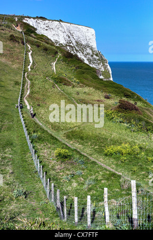 Weiße Klippen von Dover, Dover, Kent, England, UK Stockfoto