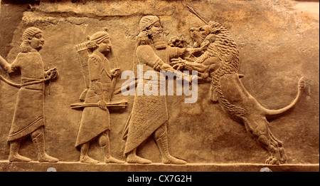 Geschnitzte Relief des Löwen Jagd (Assyrien, 645 v. Chr.), British Museum, London, UK Stockfoto
