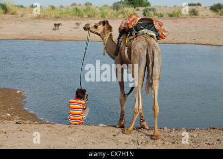 Kamel und Führer in der Thar-Wüste, Rajasthan, Indien Stockfoto