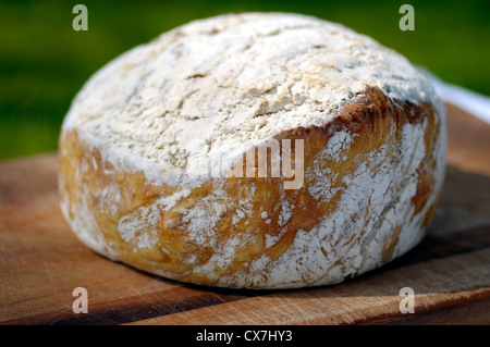 Hausgemachtes Brot Stockfoto