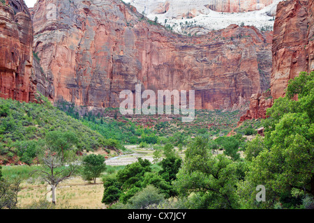 Ansicht von Angels landing Trail-Gipfel vom Kühlschrank Canyon im Zion Nationalpark, Utah, USA Stockfoto