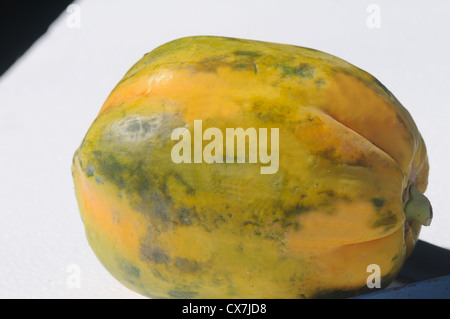 Papaya zwei Arten von Papayas sind häufig angebaut. Man muss süß, rot (oder Orange) Fleisch, und der andere hat gelbe Fruchtfleisch Stockfoto